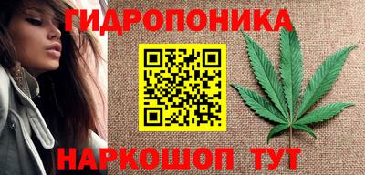 прущие грибы Владивосток