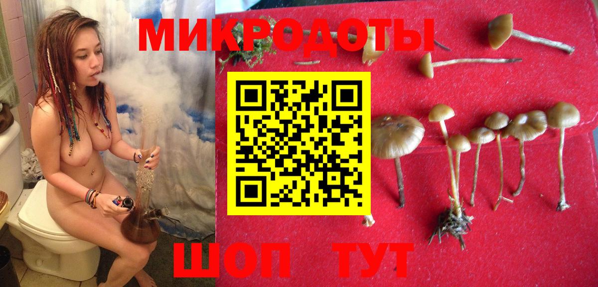 Волжский  Псилоцибиновые грибы Psilocybine cubensis  Вход с VPN 